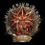Millennium Ring Community